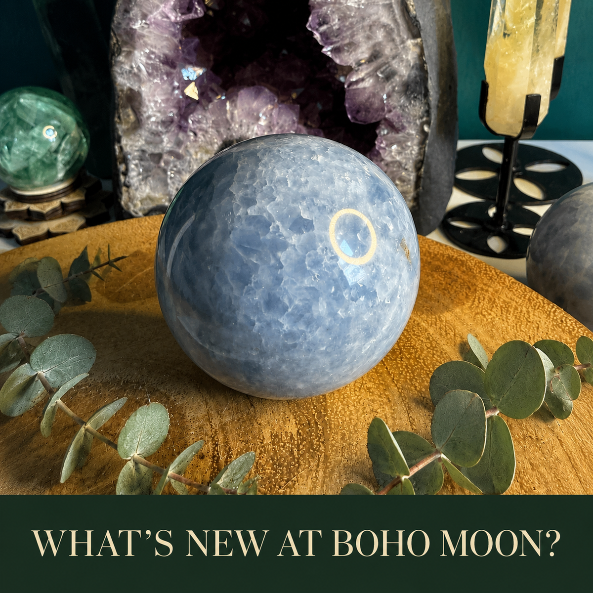 What's New at Boho Moon?